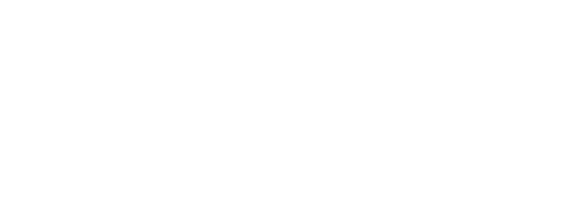 Technoship BV White Logo | Technoship BV